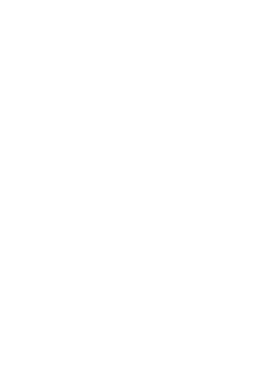 株式会社のいり